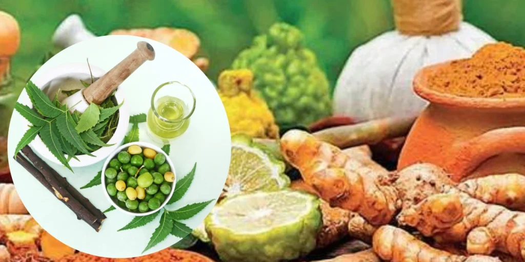 Ayurvedic diet